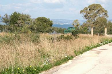 Agricultural Land Plot Sale - LASSI, MUNICIPALITY OF ARGOSTOLI - SOUT