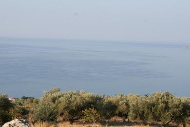 Agricultural Land Plot Sale - SIMOTATA, MUNICIPALITY OF LIVATHOS - SOUTH