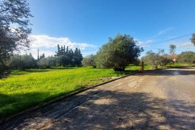 Gettaione Vendita - MINIES, COMUNE DI ARGOSTOLI - SUDOVEST