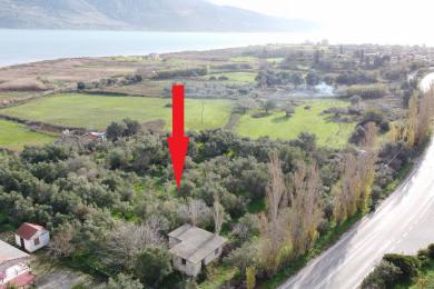 Agricultural Land Plot Sale - LIVADI, MUNICIPALITY OF PALIKI - WEST