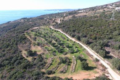 Agricultural Land Plot Sale - PLATIES, MUNICIPALITY OF ELIOS - SOUTHEAS