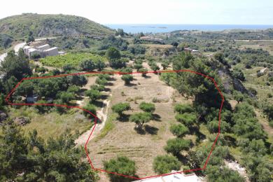 Agricultural Land Plot Sale - MANTZAVINATA, MUNICIPALITY OF PALIKI - WEST