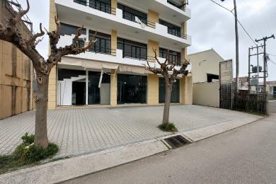 Shop Sale - ARGOSTOLI, MUNICIPALITY OF ARGOSTOLI - SOUT