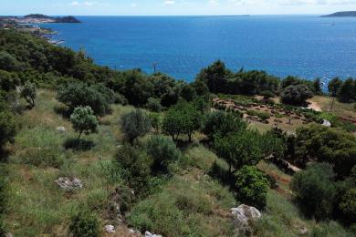 Agricultural Land Plot Sale - ARGOSTOLI, MUNICIPALITY OF ARGOSTOLI - SOUT