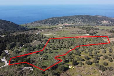 Agricultural Land Plot Sale - DAMOULIANATA, MUNICIPALITY OF PALIKI - WEST
