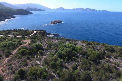 Agricultural Land Plot Sale - HALIKERI, MUNICIPALITY OF ERISSOS - NORTH