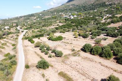Agricultural Land Plot Sale - VALERIANOS, MUNICIPALITY OF ELIOS - SOUTHEAS