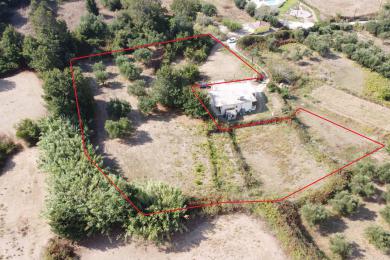 Land Sale - AGIA THEKLI, MUNICIPALITY OF PALIKI - WEST