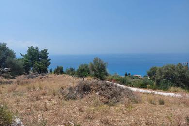 Agricultural Land Plot Sale - SIMOTATA, MUNICIPALITY OF LIVATHOS - SOUTH