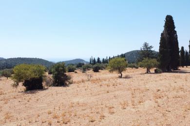 Agricultural Land Plot Sale - DILINATA, MUNICIPALITY OF ARGOSTOLI - SOUT