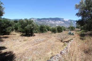 Agricultural Land Plot Sale - PESSADA, MUNICIPALITY OF LIVATHOS - SOUTH