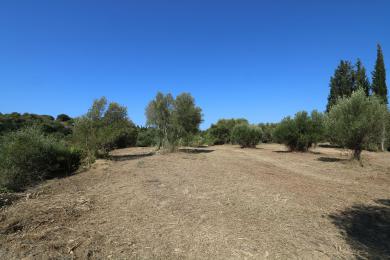 Agricultural Land Plot Sale - KARAVADOS, MUNICIPALITY OF LIVATHOS - SOUTH