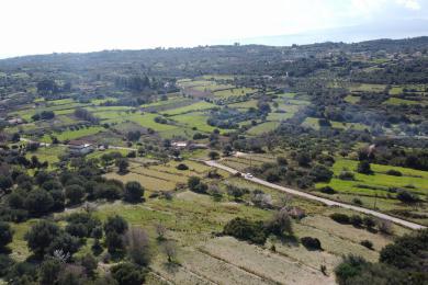 Agricultural Land Plot Sale - VALERIANOS, MUNICIPALITY OF ELIOS - SOUTHEAS