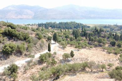 Agricultural Land Plot Sale - AGIOS DIMITRIOS, MUNICIPALITY OF PALIKI - WEST