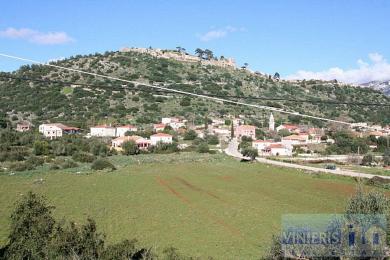 Agricultural Land Plot Sale - TRAVLIATA, MUNICIPALITY OF LIVATHOS - SOUTH