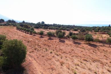 Agricultural Land Plot Sale - KARAVADOS, MUNICIPALITY OF LIVATHOS - SOUTH
