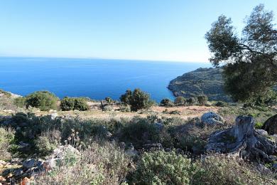 Agricultural Land Plot Sale - SKALA, MUNICIPALITY OF ELIOS - SOUTHEAS