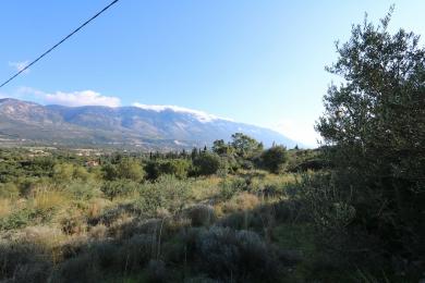 Agricultural Land Plot Sale - PESSADA, MUNICIPALITY OF LIVATHOS - SOUTH