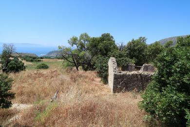 Agricultural Land Plot Sale - ALIMATAS, MUNICIPALITY OF ELIOS - SOUTHEAS