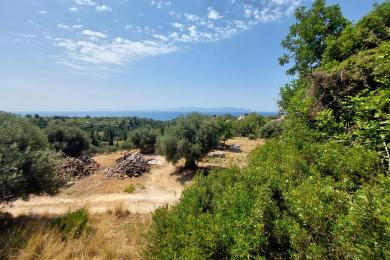 Agricultural Land Plot Sale - RATZAKLI, MUNICIPALITY OF ELIOS - SOUTHEAS