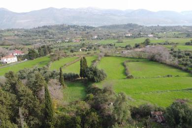 Αγροτεμάχιο Πώληση - ΛΟΥΚΕΡΑΤΑ, ΔΗΜΟΤΙΚΗ ΕΝΟΤΗΤΑ ΠΑΛΛΙΚΗΣ