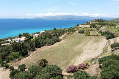 Αγροτεμάχιο Πώληση - ΜΗΝΙΕΣ, ΔΗΜΟΤΙΚΗ ΕΝΟΤΗΤΑ ΑΡΓΟΣΤΟΛΙΟΥ