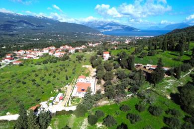 Land Sale - GRIZATA, SAMI, MUNICIPALITY OF SAMI - EAST