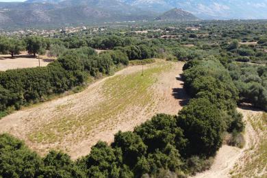 Gettaione Vendita - MENEGATA, COMUNE DI LIVATHOS - SUDOVEST