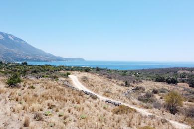 Αγροτεμάχιο Πώληση - ΠΕΣΣΑΔΑ, ΔΗΜΟΤΙΚΗ ΕΝΟΤΗΤΑ ΛΕΙΒΑΘΟΥΣ