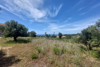 Land Sale - KORIANNA, MUNICIPALITY OF LIVATHOS - SOUTH