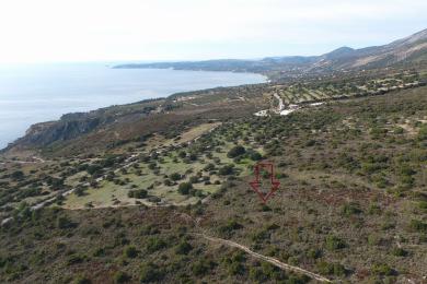 Agricultural Land Plot Sale - SIMOTATA, MUNICIPALITY OF LIVATHOS - SOUTH