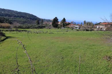 Land Sale - AGIA THEKLI, MUNICIPALITY OF PALIKI - WEST