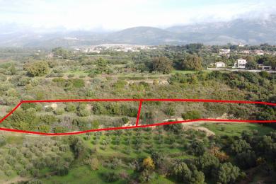 Agricultural Land Plot Sale - KLISMATA, MUNICIPALITY OF LIVATHOS - SOUTH