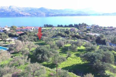 Αγροτεμάχιο Πώληση - ΛΗΞΟΥΡΙ, ΔΗΜΟΤΙΚΗ ΕΝΟΤΗΤΑ ΠΑΛΛΙΚΗΣ