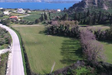 Αγροτεμάχιο Πώληση - ΛΗΞΟΥΡΙ, ΔΗΜΟΤΙΚΗ ΕΝΟΤΗΤΑ ΠΑΛΛΙΚΗΣ