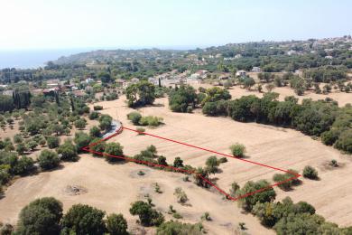 Agricultural Land Plot Sale - PESSADA, MUNICIPALITY OF LIVATHOS - SOUTH