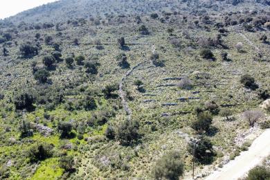 Agricultural Land Plot Sale - SKALA, MUNICIPALITY OF ELIOS - SOUTHEAS