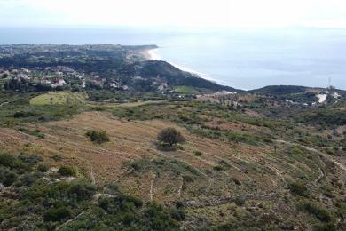 Agricultural Land Plot Sale - RATZAKLI, MUNICIPALITY OF ELIOS - SOUTHEAS