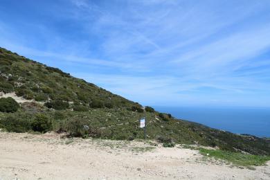 Agricultural Land Plot Sale - SKALA, MUNICIPALITY OF ELIOS - SOUTHEAS