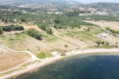 Agricultural Land Plot Sale - AGIOS DIMITRIOS, MUNICIPALITY OF PALIKI - WEST