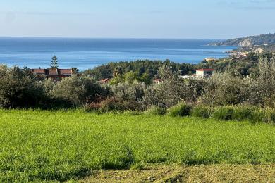 Land Sale - TRAPEZAKI, MUNICIPALITY OF LIVATHOS - SOUTH