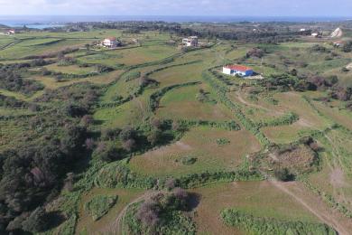 Agricultural Land Plot Sale - KOUNOPETRA, MUNICIPALITY OF PALIKI - WEST