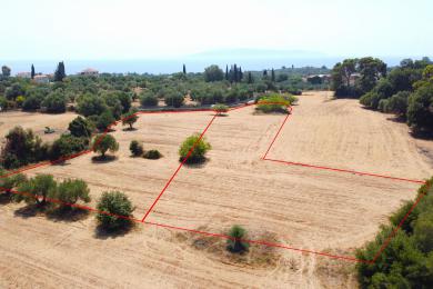 Gettaione Vendita - PESSADA, COMUNE DI LIVATHOS - SUDOVEST
