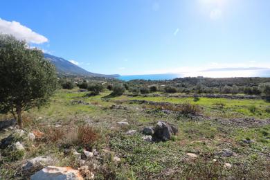 Agricultural Land Plot Sale - MOUSATA, MUNICIPALITY OF LIVATHOS - SOUTH