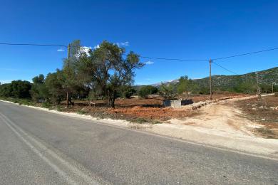 Agricultural Land Plot Sale - KOKYLIA, MUNICIPALITY OF ARGOSTOLI - SOUT