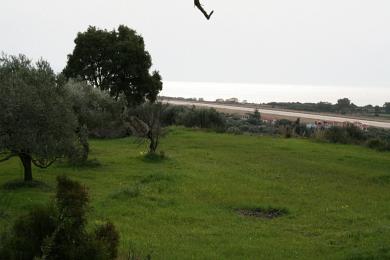 Agricultural Land Plot Sale - MINIES, MUNICIPALITY OF ARGOSTOLI - SOUT