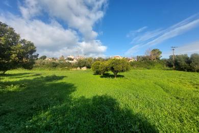 Agricultural Land Plot Sale - , MUNICIPALITY OF LIVATHOS - SOUTH