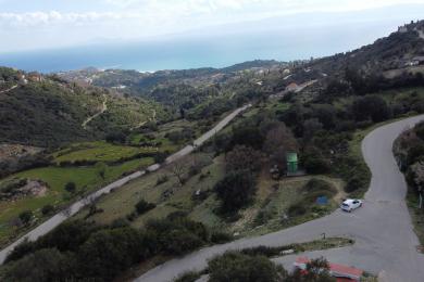 Agricultural Land Plot Sale - ALIMATAS, MUNICIPALITY OF ELIOS - SOUTHEAS