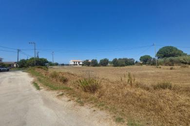 Agricultural Land Plot Sale - AMMES, MUNICIPALITY OF LIVATHOS - SOUTH