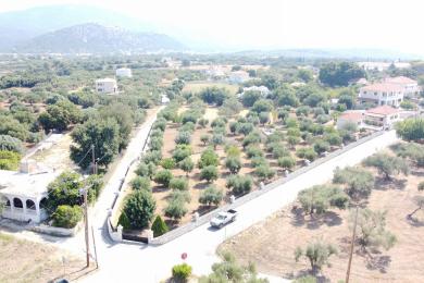 Land Sale - LAKITHRA, MUNICIPALITY OF LIVATHOS - SOUTH